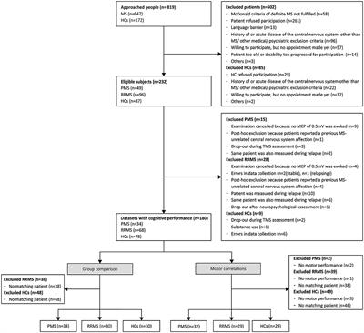 The importance of pyramidal tract integrity for cortical plasticity and related functionality in patients with multiple sclerosis